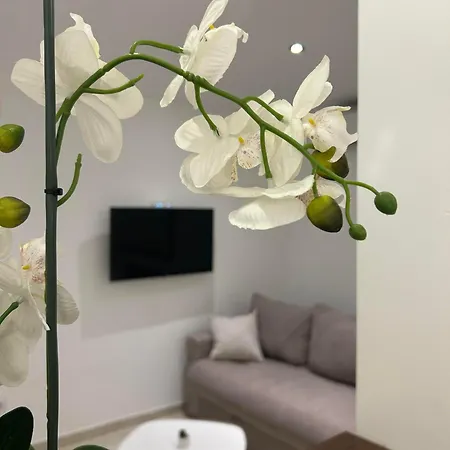 Cristal Lux Apartment
