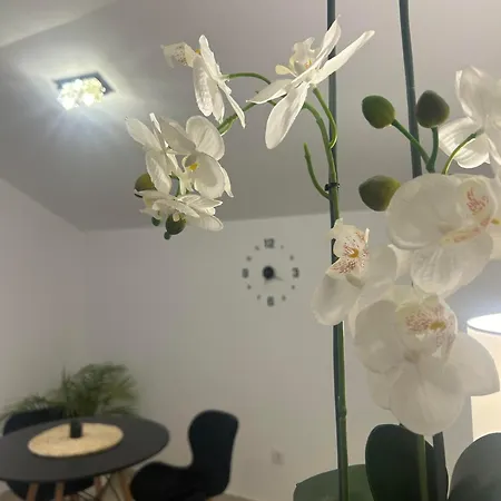 Apartment Cristal Lux *