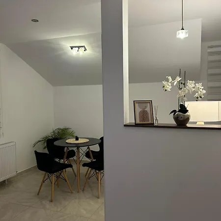 Apartment Cristal Lux Surcin