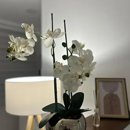 Cristal Lux * Surčin